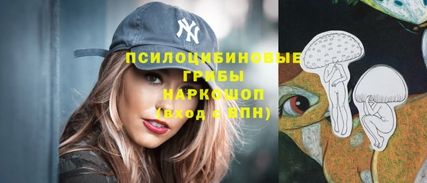 ГАЛЛЮЦИНОГЕННЫЕ ГРИБЫ Абинск