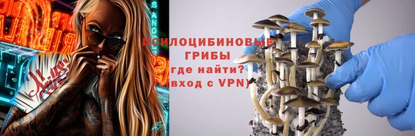 МДПВ Абдулино