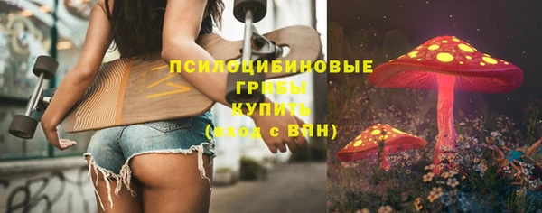 ГАЛЛЮЦИНОГЕННЫЕ ГРИБЫ Абинск